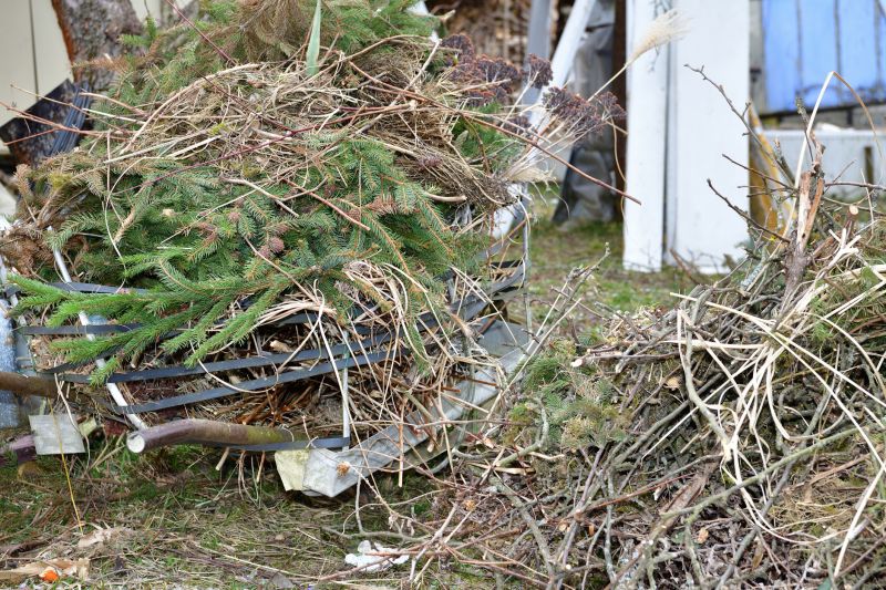 Lawn Debris Cleanup