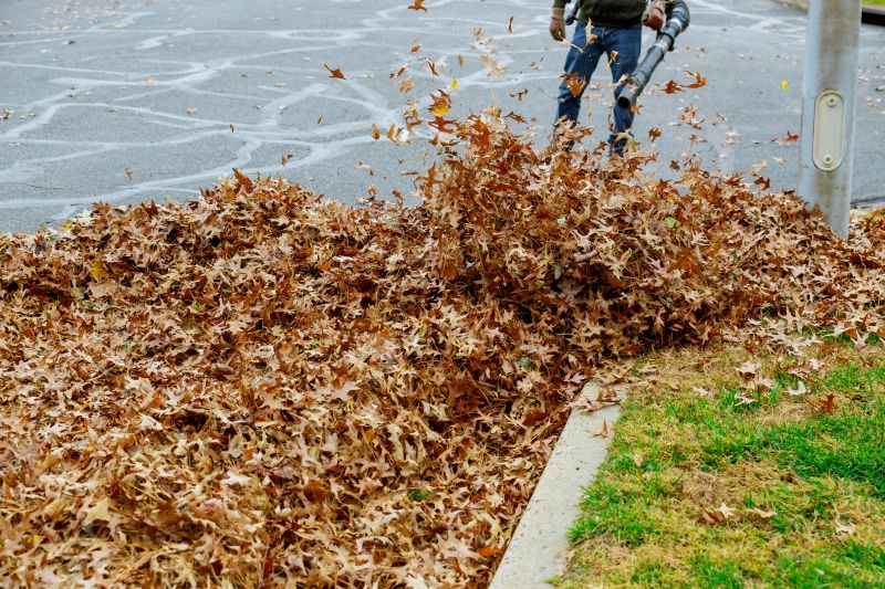 Leaf Removal