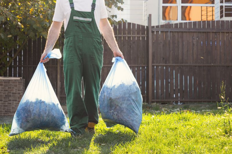 Lawn Debris Cleanup