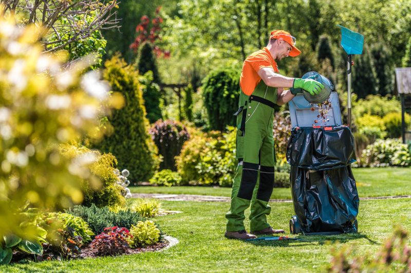 Lawn Debris Cleanup