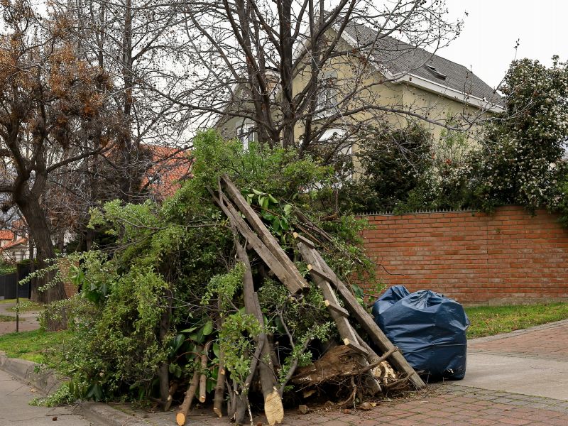 Lawn Debris Cleanup