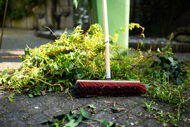 Lawn Debris Cleanup