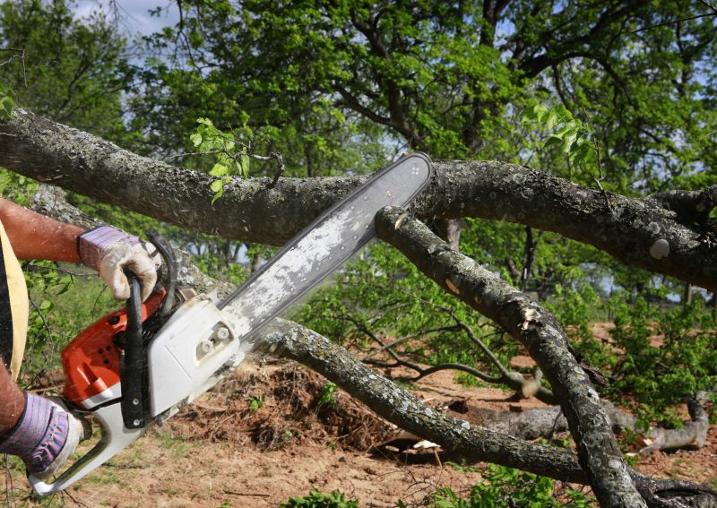 Limbs Removal