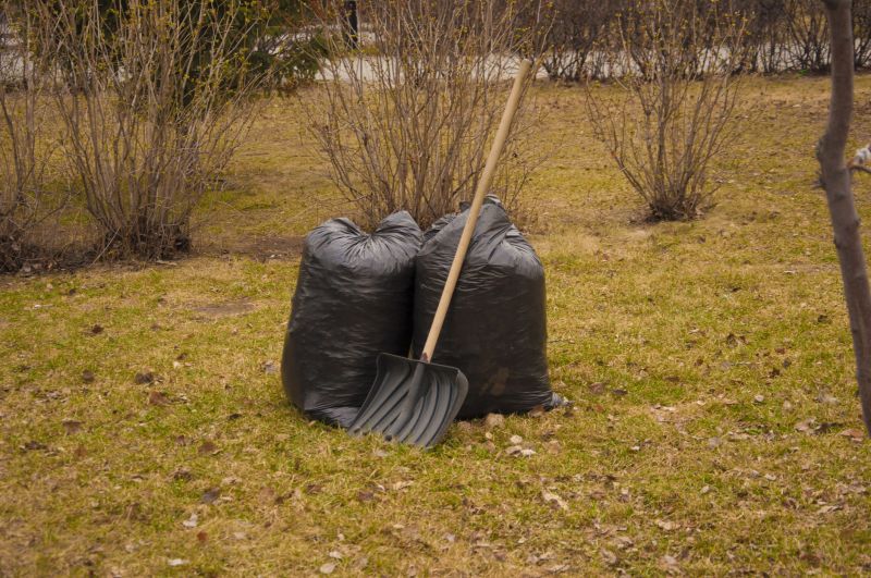Spring Lawn Cleanup
