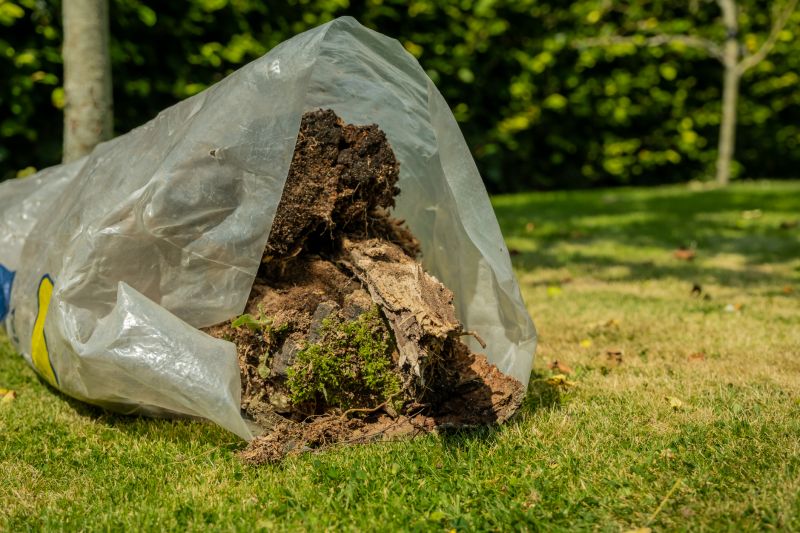 Tree Debris Removal